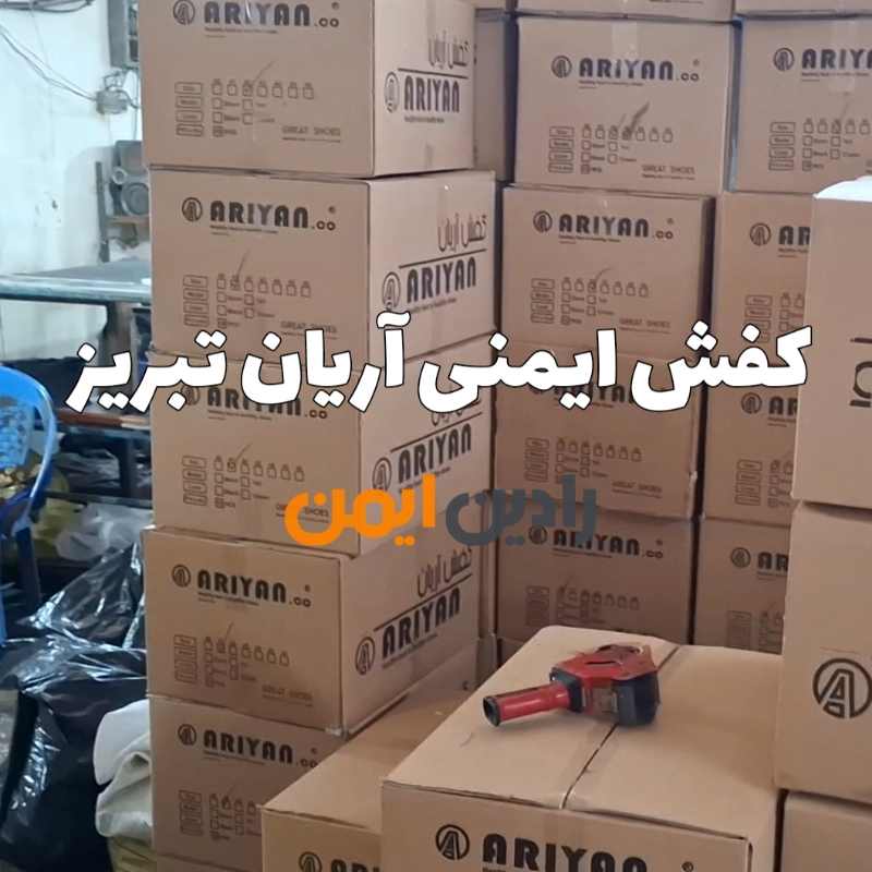 کفش ایمنی آریان تبریز